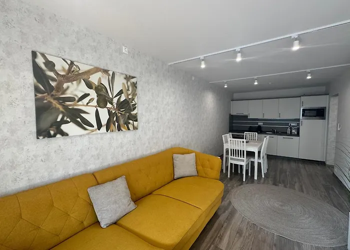 公寓 Silvergate 希欧福克